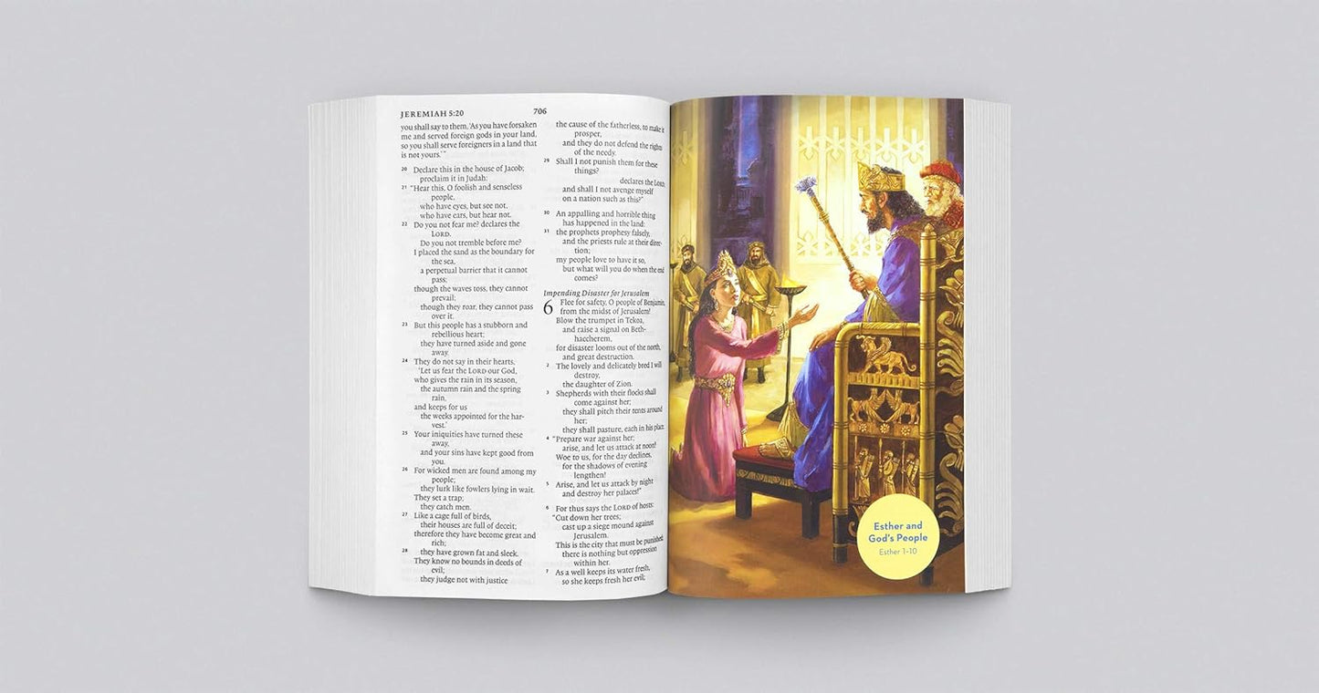 ESV Holy Bible for Kids, Economy